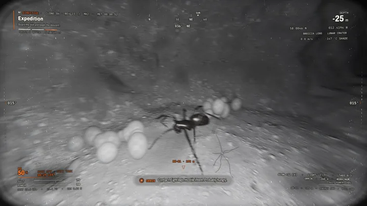 Night vision: a spider crouched over its clutch of eggs in a cave