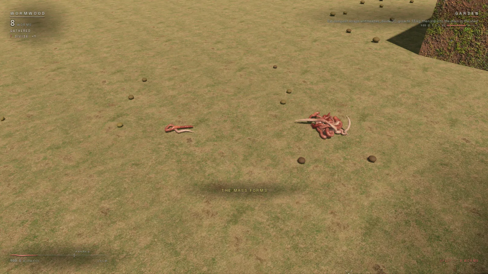 A few worms gathering on dry ground as the mass starts to form