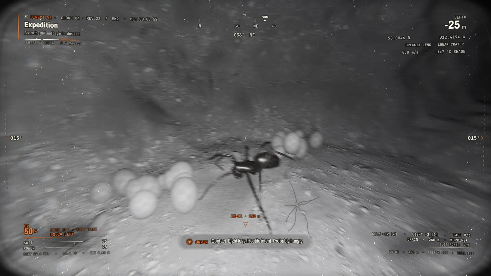 Night vision in a cave 25 metres down: a long-legged spider crouched over a clutch of pale eggs